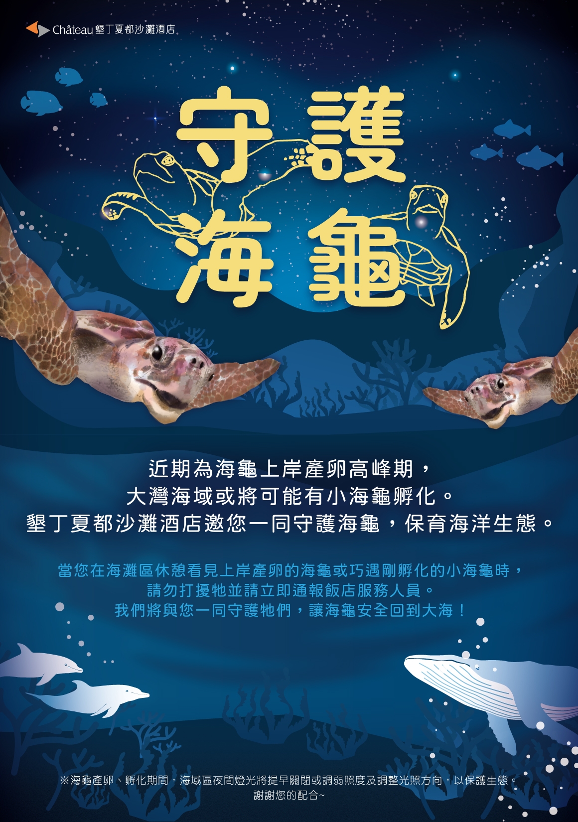 守護海龜_海報