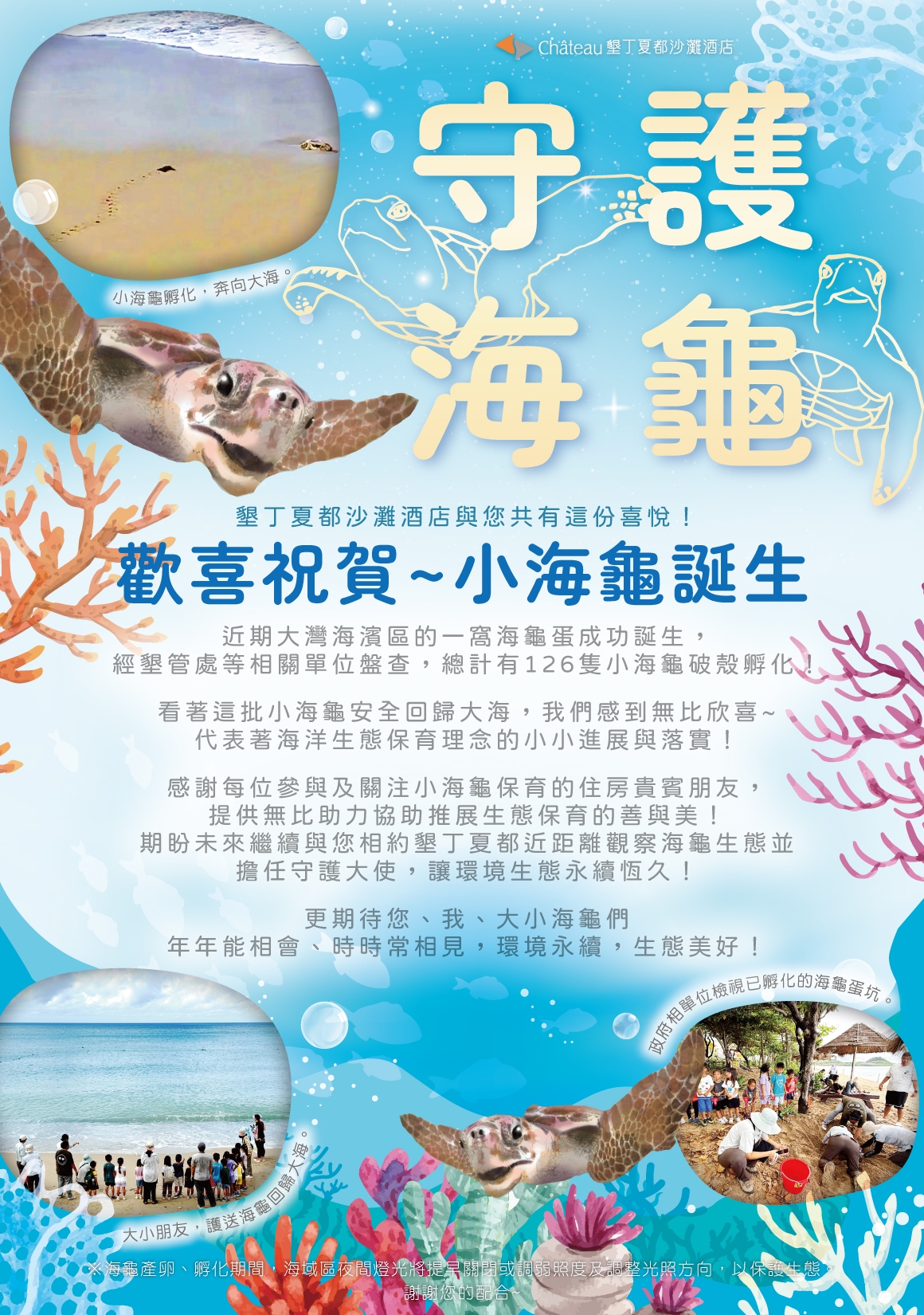 海龜誕生保育_海報